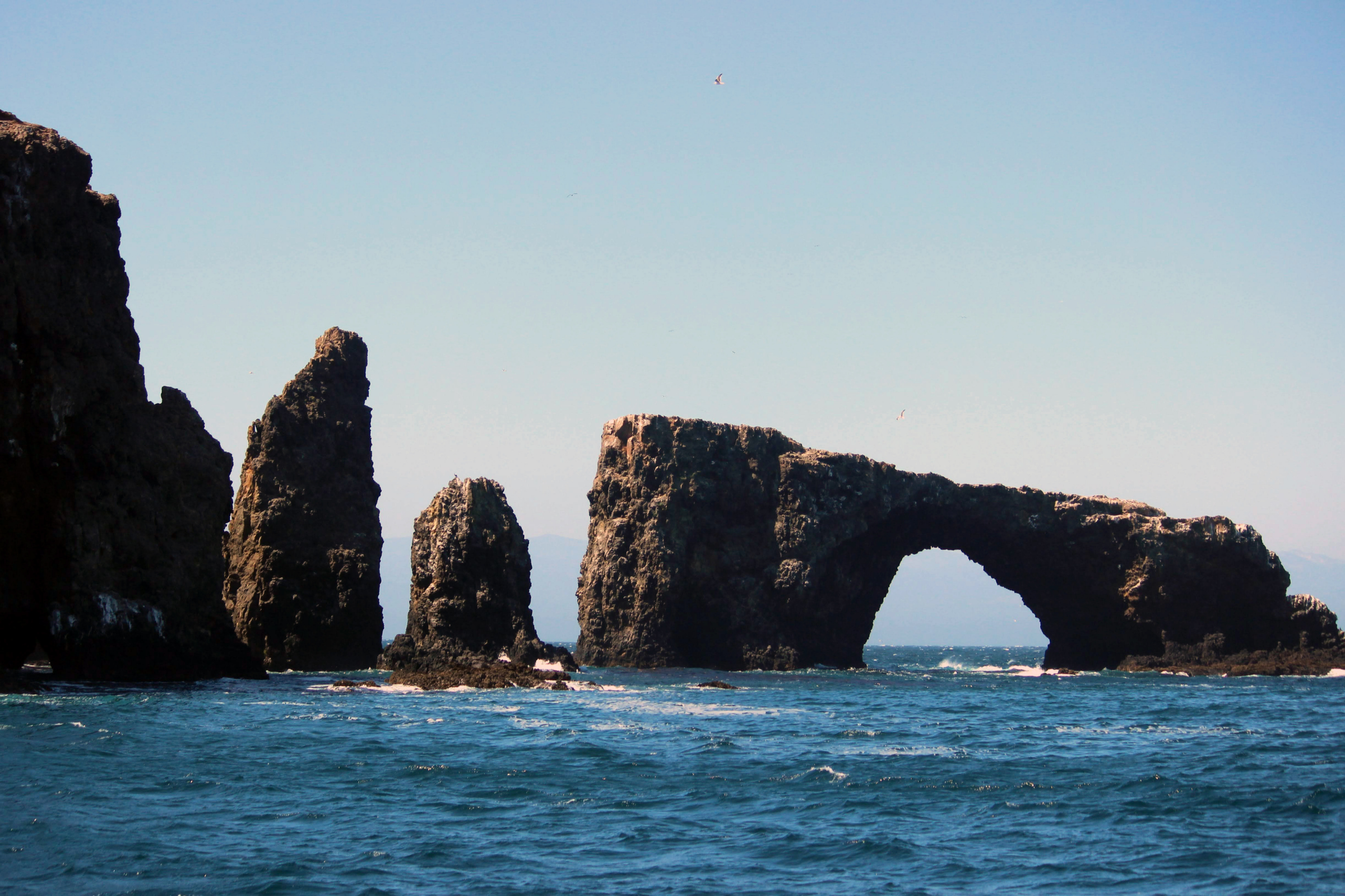 santa rosa island, california (3).webp